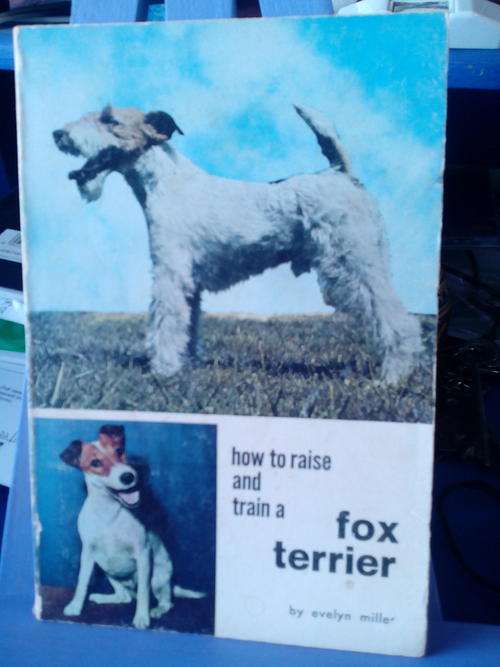 Fox Terrier - How to raise and train a fox terrier -